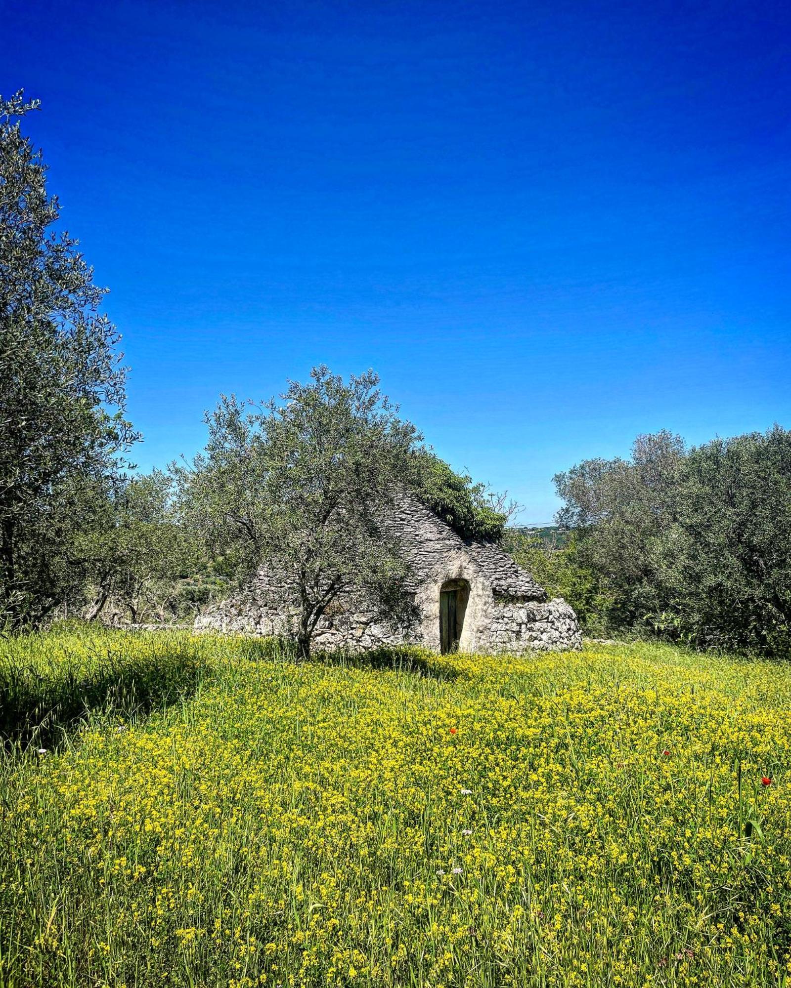 Casalento Bed and Breakfast Ceglie Messapica Eksteriør billede